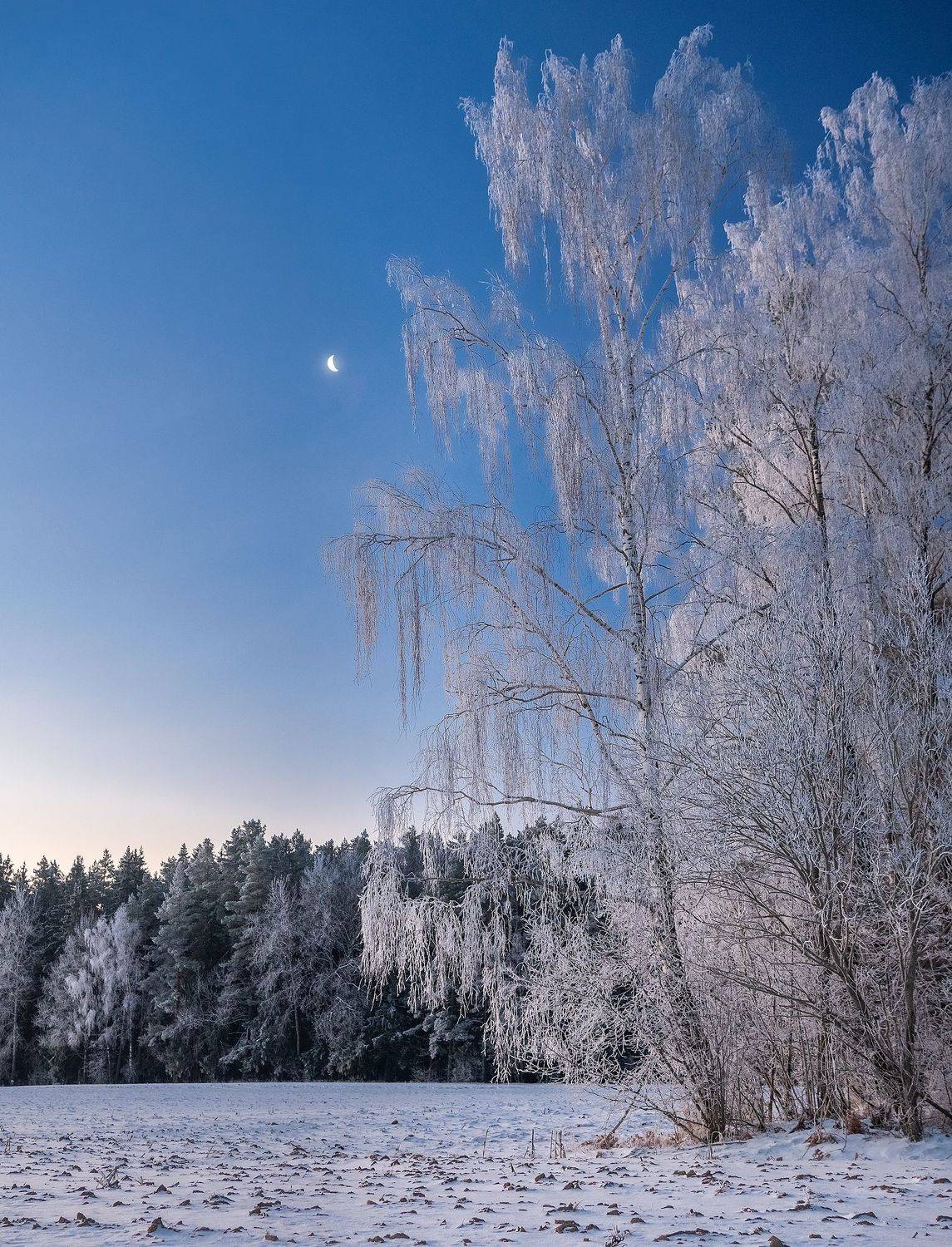 , Руслан Авдевич