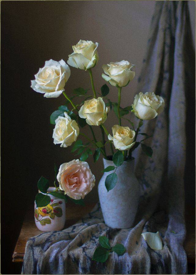 , Stein Georg