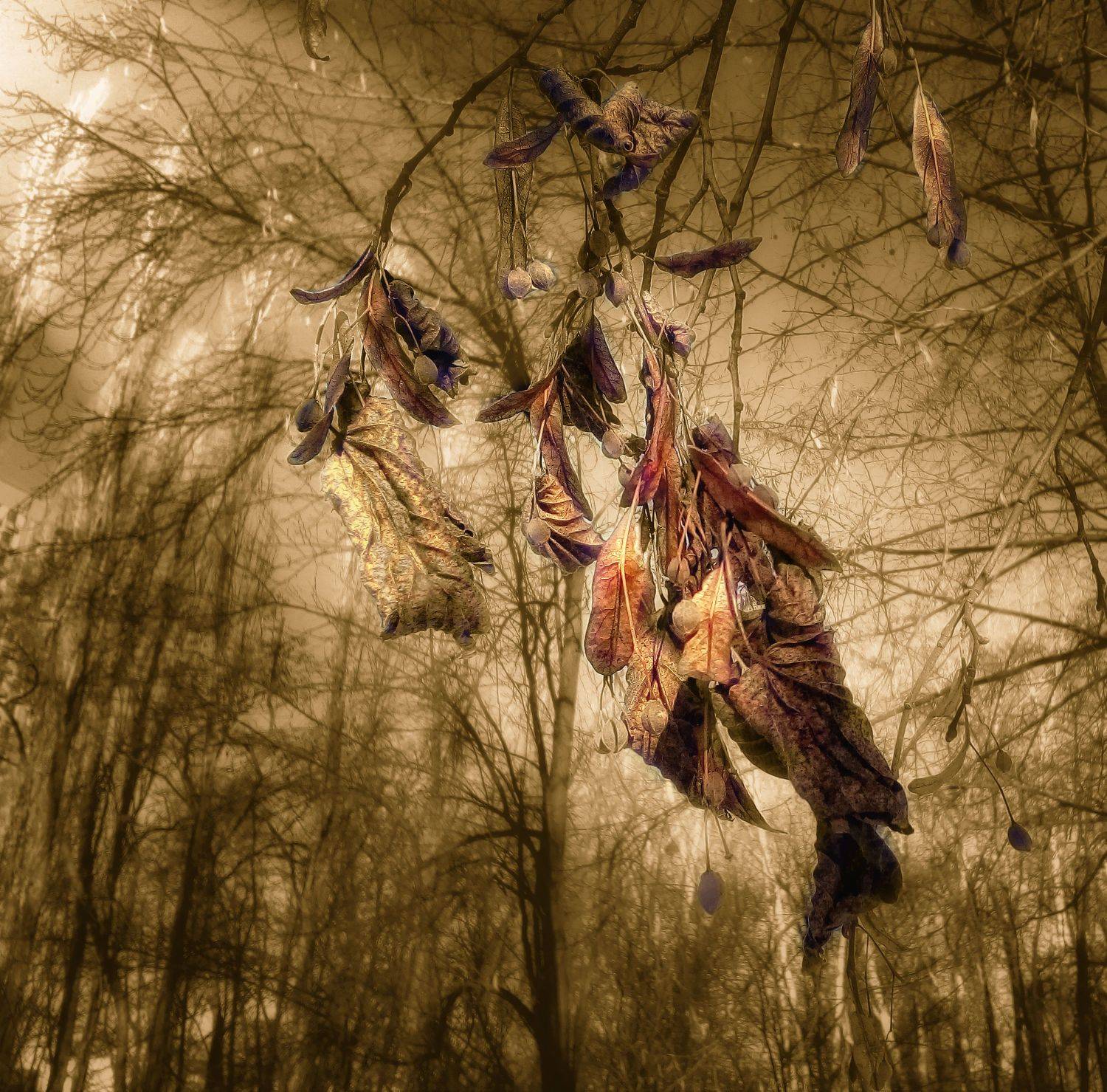 ,  Александр