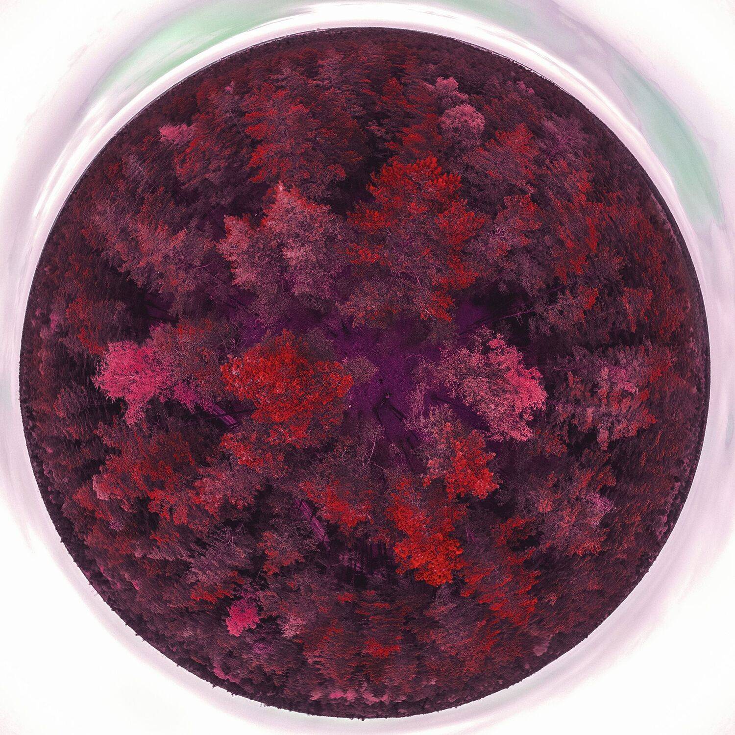 Аэрофото пейзаж город креативное необычное дрон река небо интересное профессиональное облака лето , Sergey Shevtsov