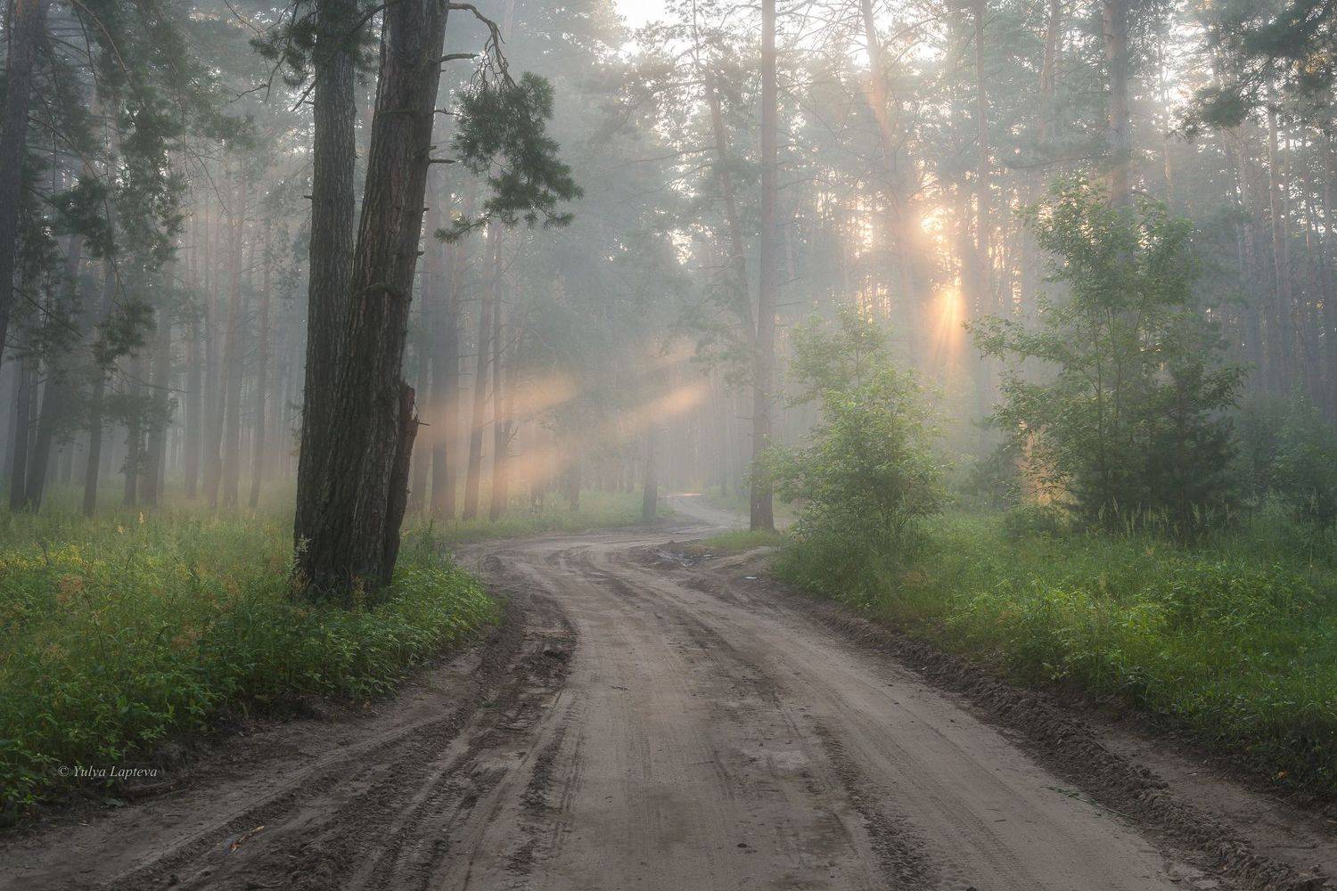 , Юлия Лаптева