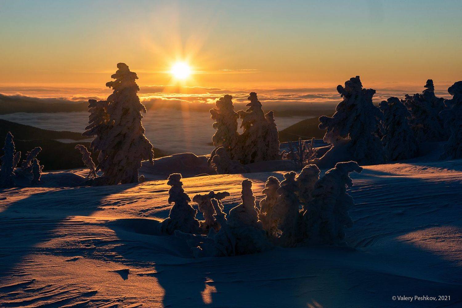 рассвет, пихты, кедры, снег, иней, шерегеш, горная шория, Валерий Пешков