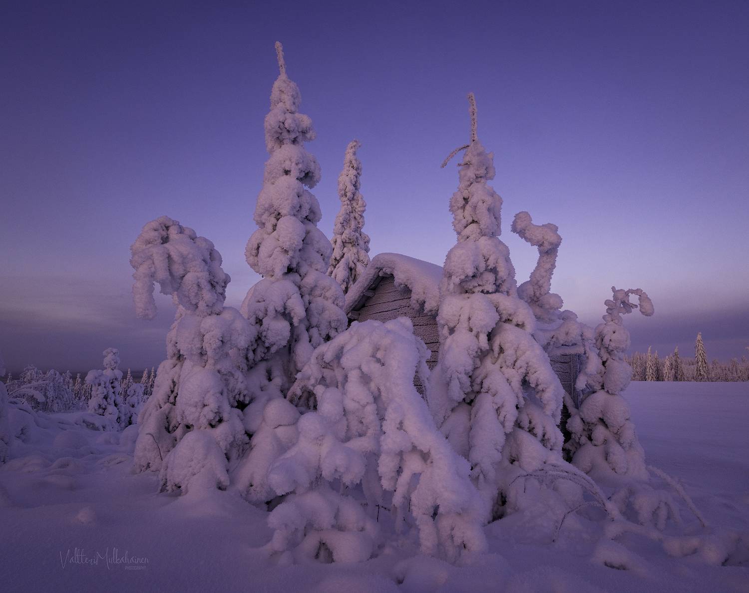 , Mulkahainen Valtteri