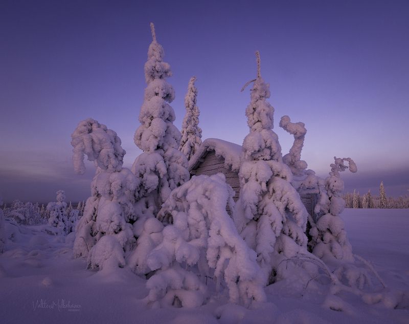 Избушка Деда Мороза фото превью