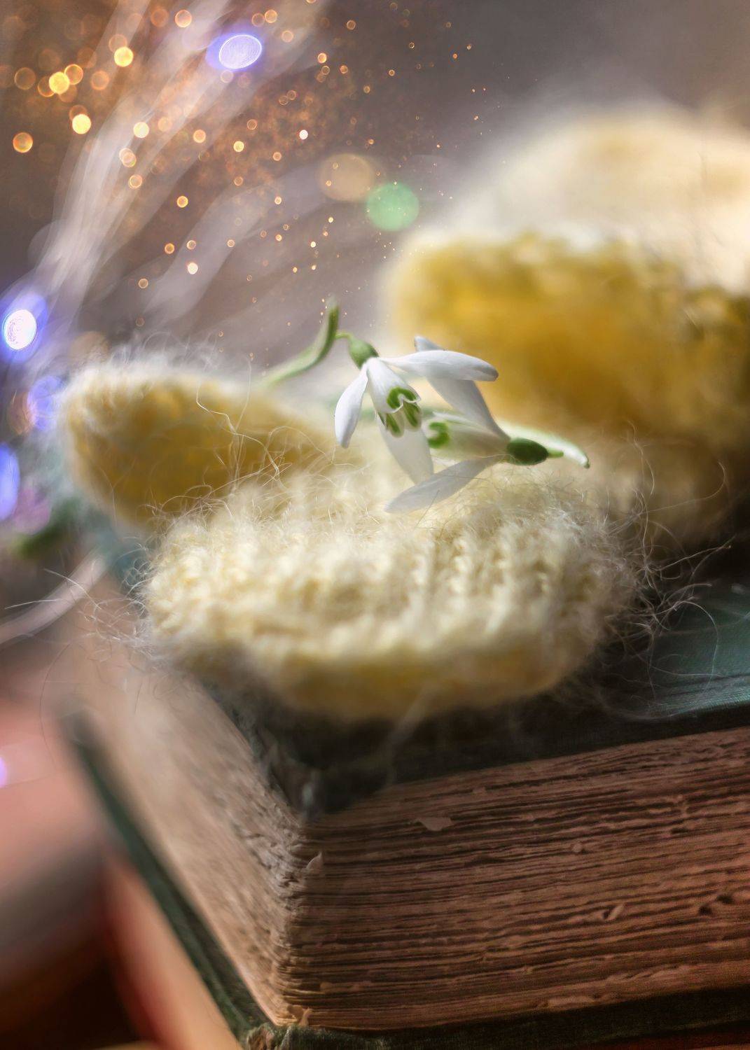 подснежники, новогодние истории, сказка двенадцать месяцев, Ирина Горюкина