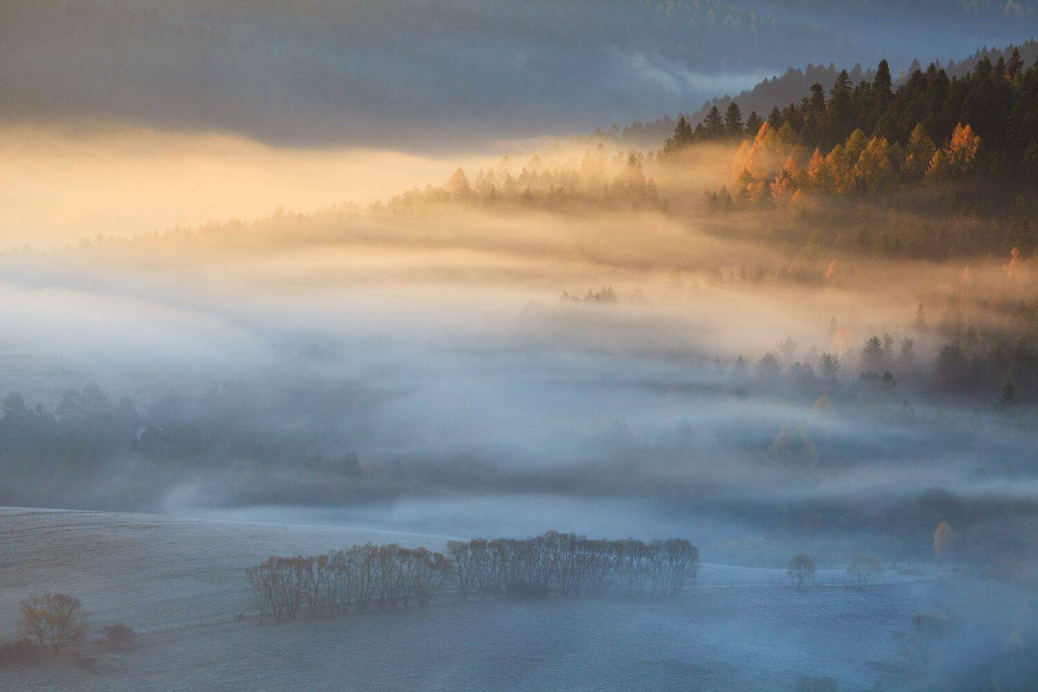 ,  Mirosław Pruchnicki