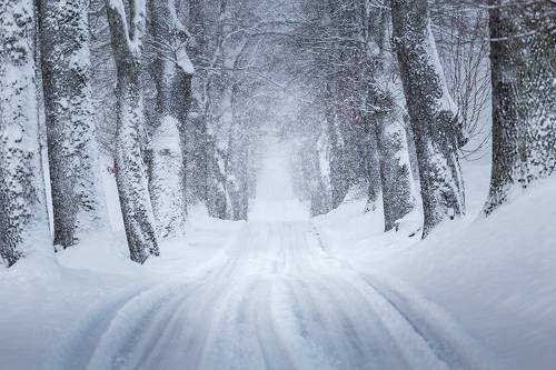 Road to Winterfell