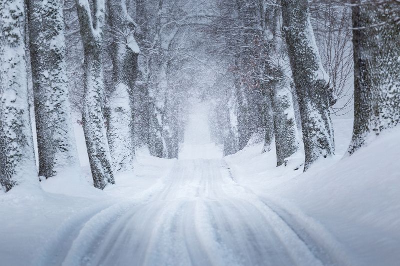 winter, road, trees, snowfall, warmia, poland Road to Winterfell фото превью