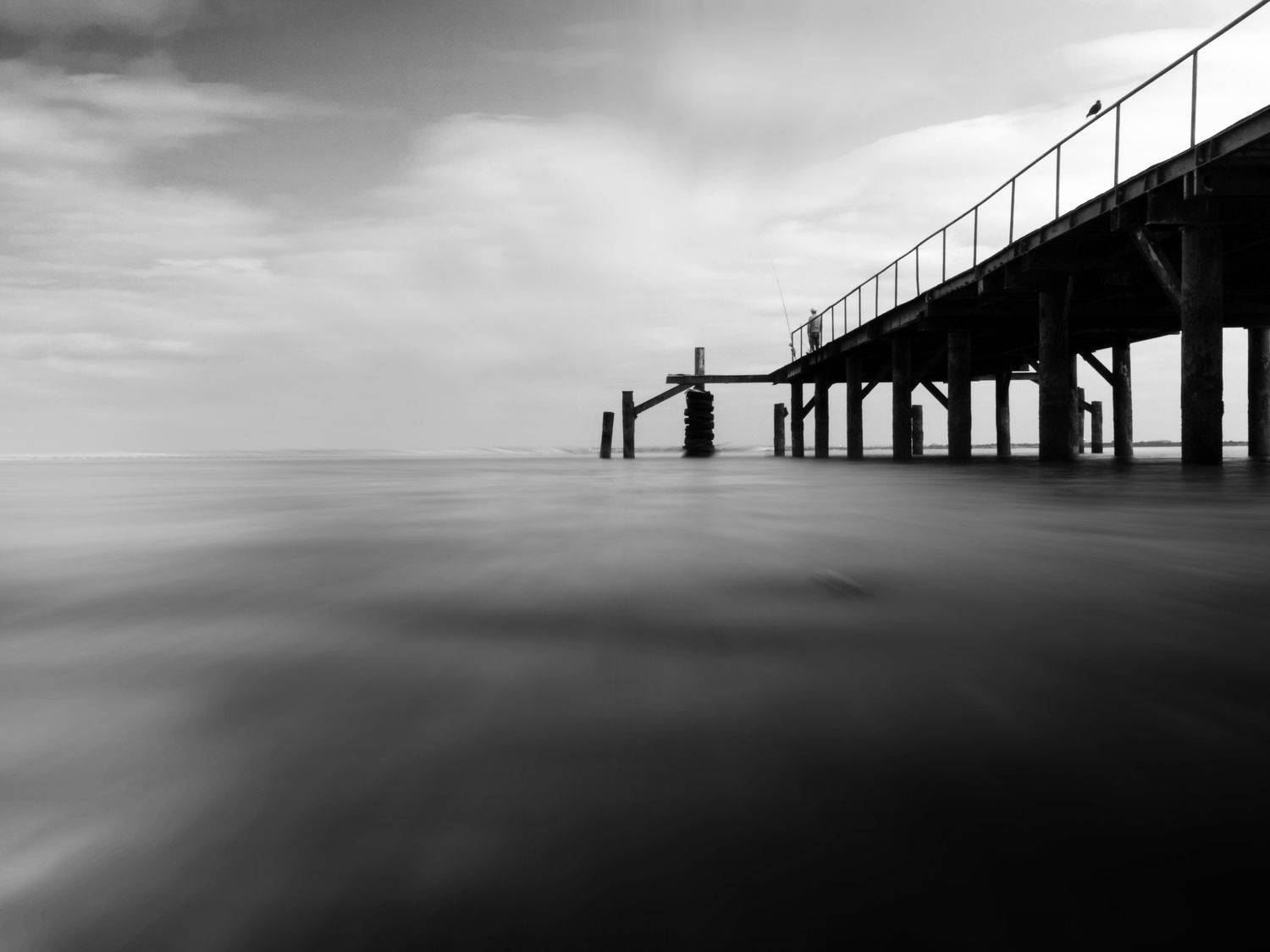 black & white, Reis Carlos