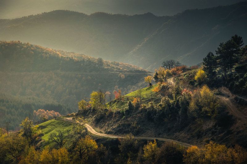 Ribnovo фото превью