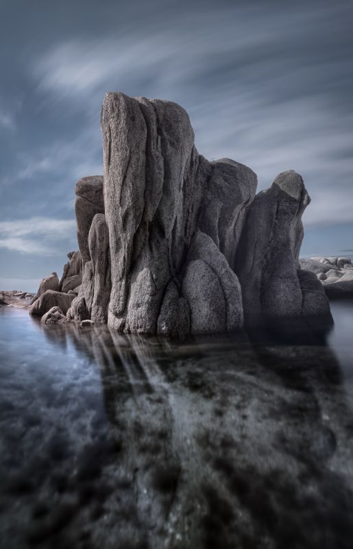 Держаться своих корней фото превью