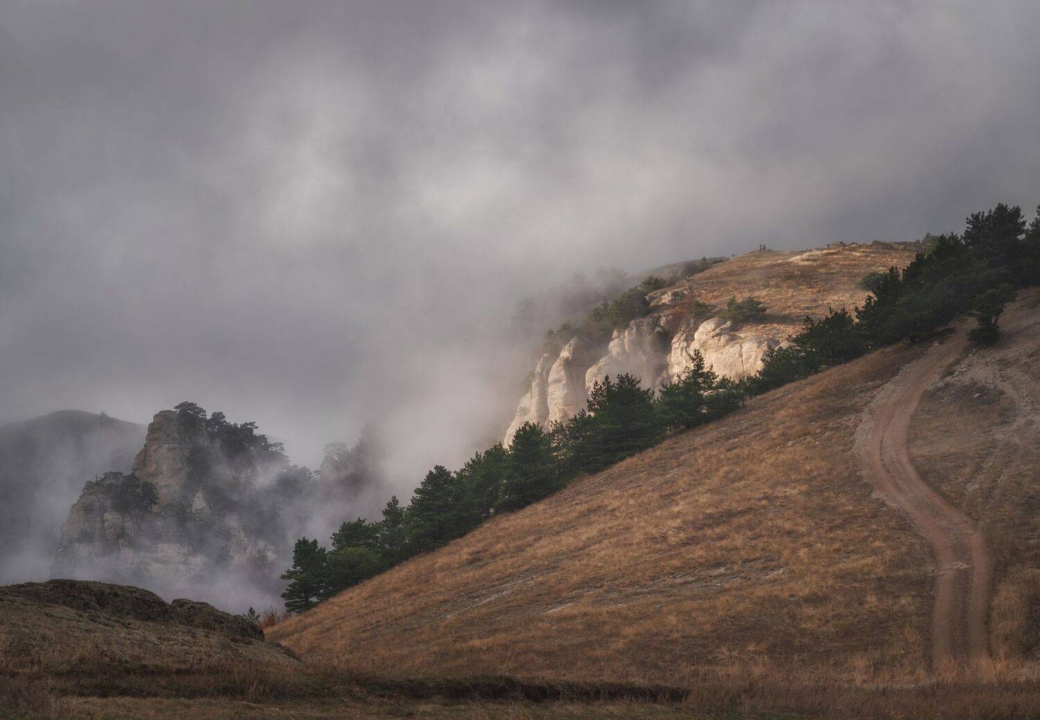 , Константин Дэм