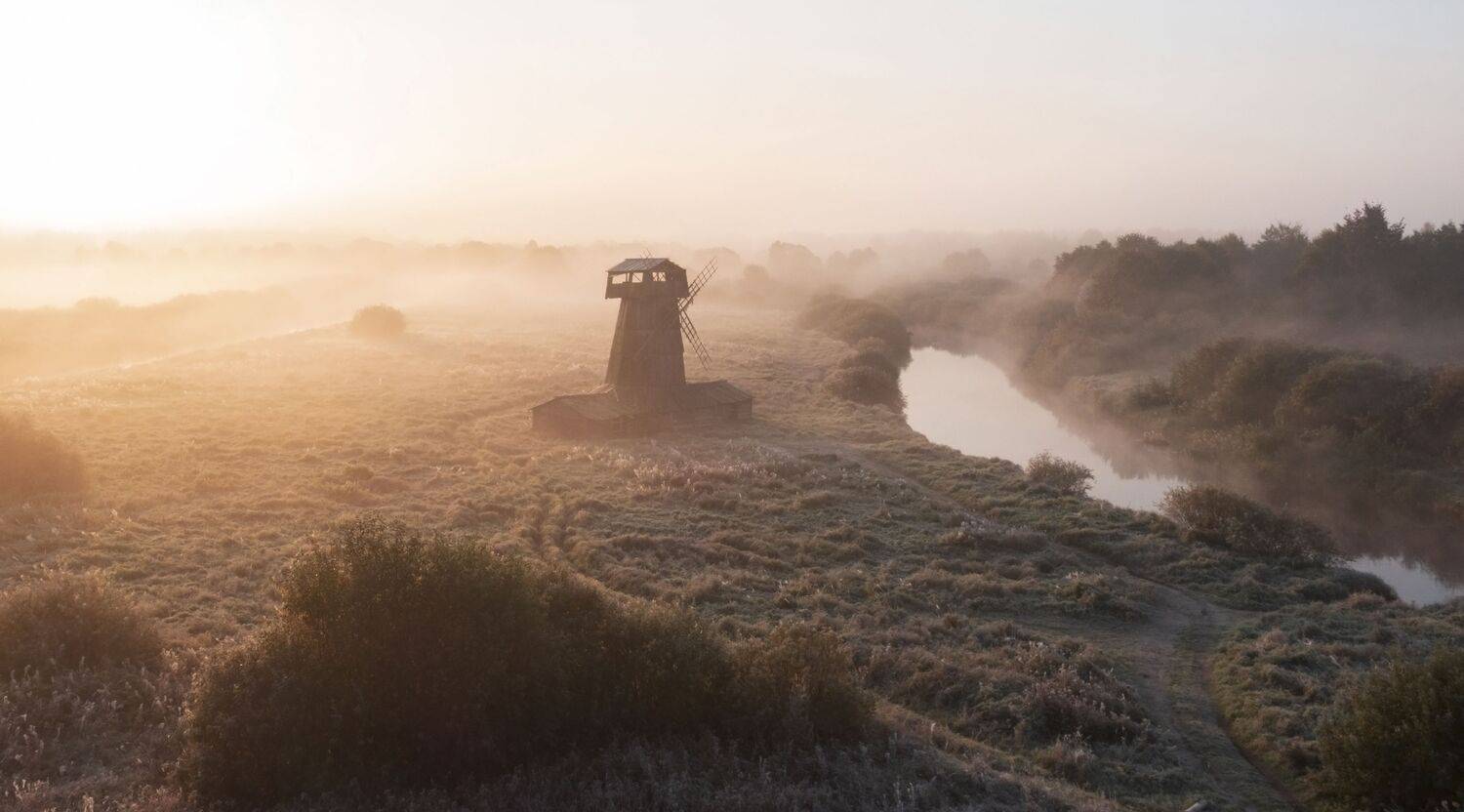 , Светлана Краюшкина