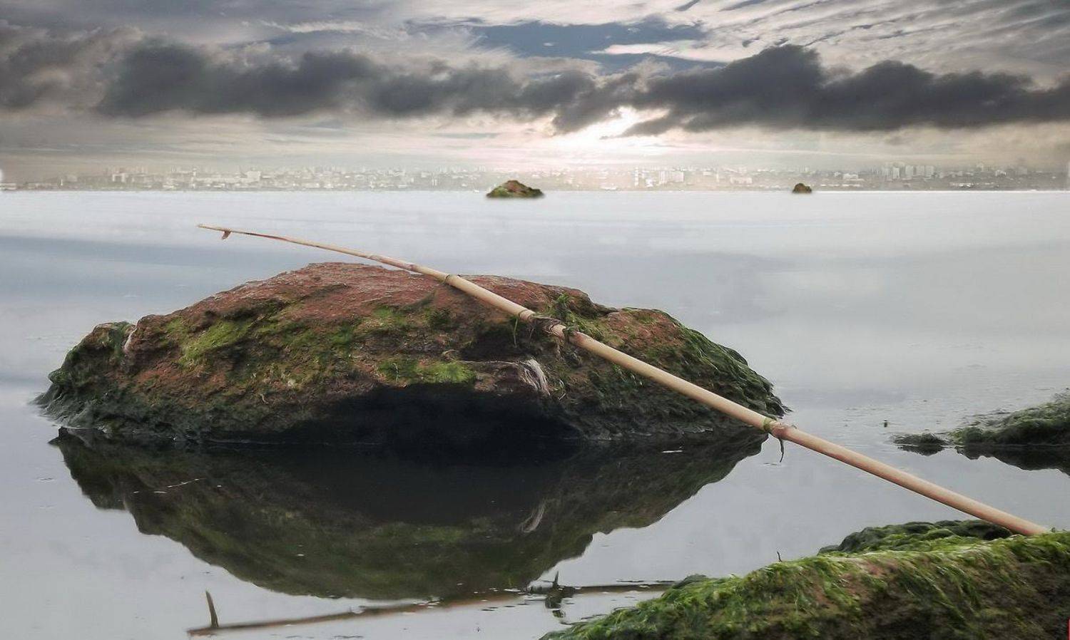 одесса, Сергей Кошелев