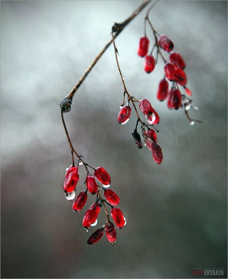 , Виктор Перякин