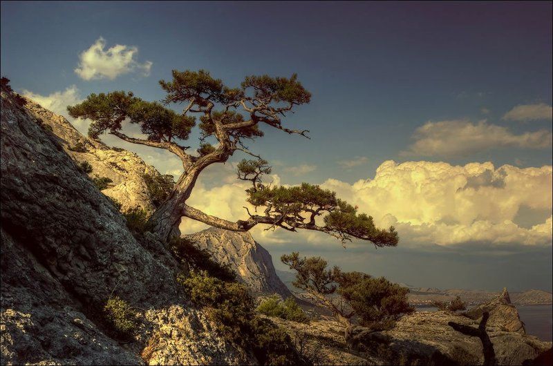 Новосветская зарисовка фото превью