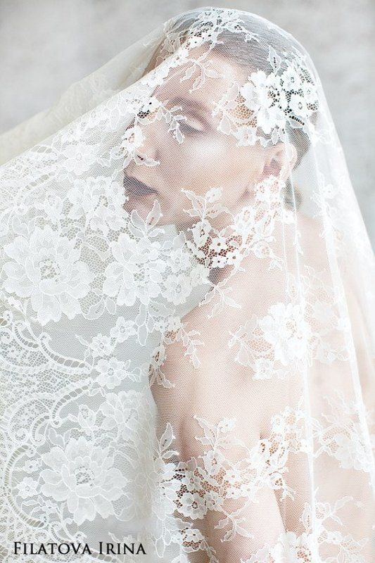 Lace фото превью