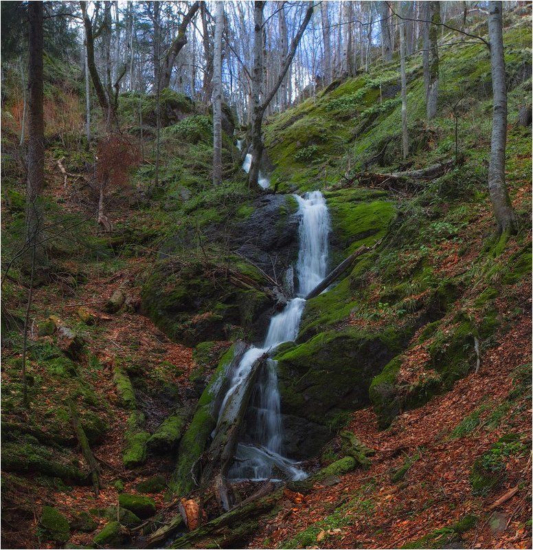 Весна, Гузерипль *** фото превью