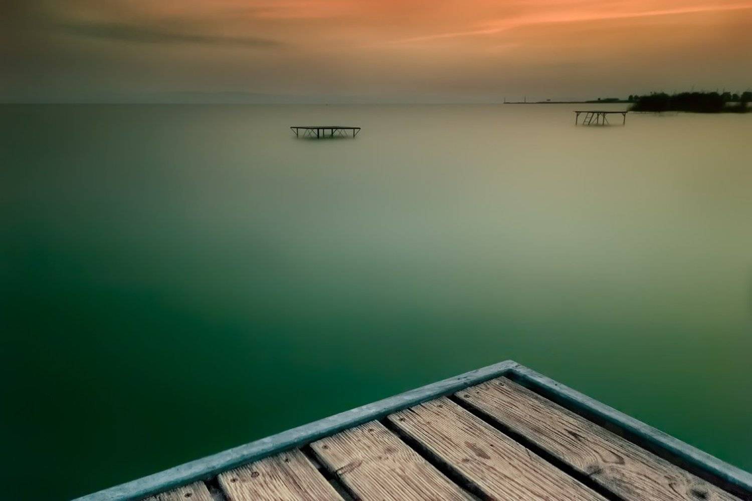 , Bogn&aacute;r P&eacute;ter