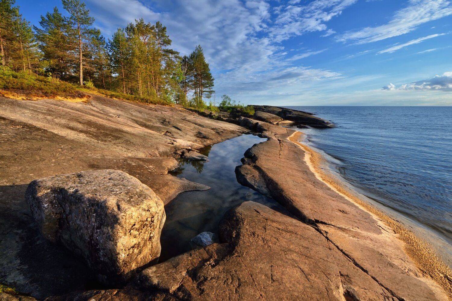 , Максим Евдокимов