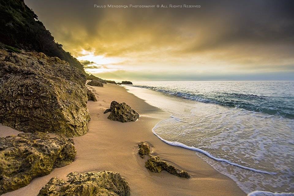 , Paulo Mendon&ccedil;a