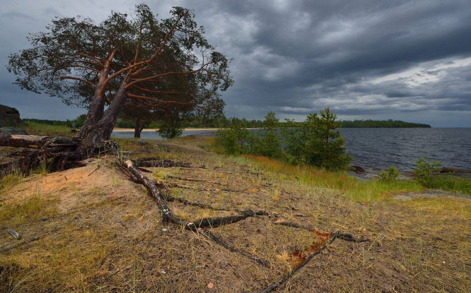 онего, онежское озеро, Максим Евдокимов