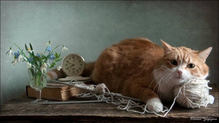 , Eleonora Grigorjeva