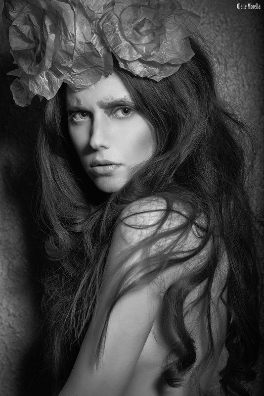 Wild фото превью