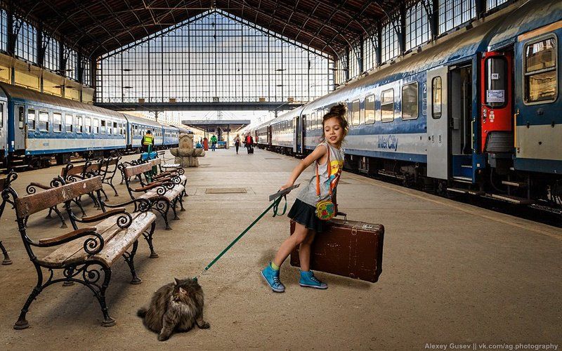 cat, city, girl, train, travel Catch your train фото превью