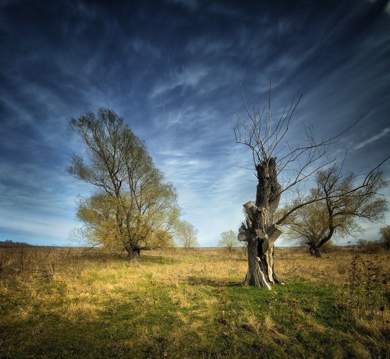 *** фото превью