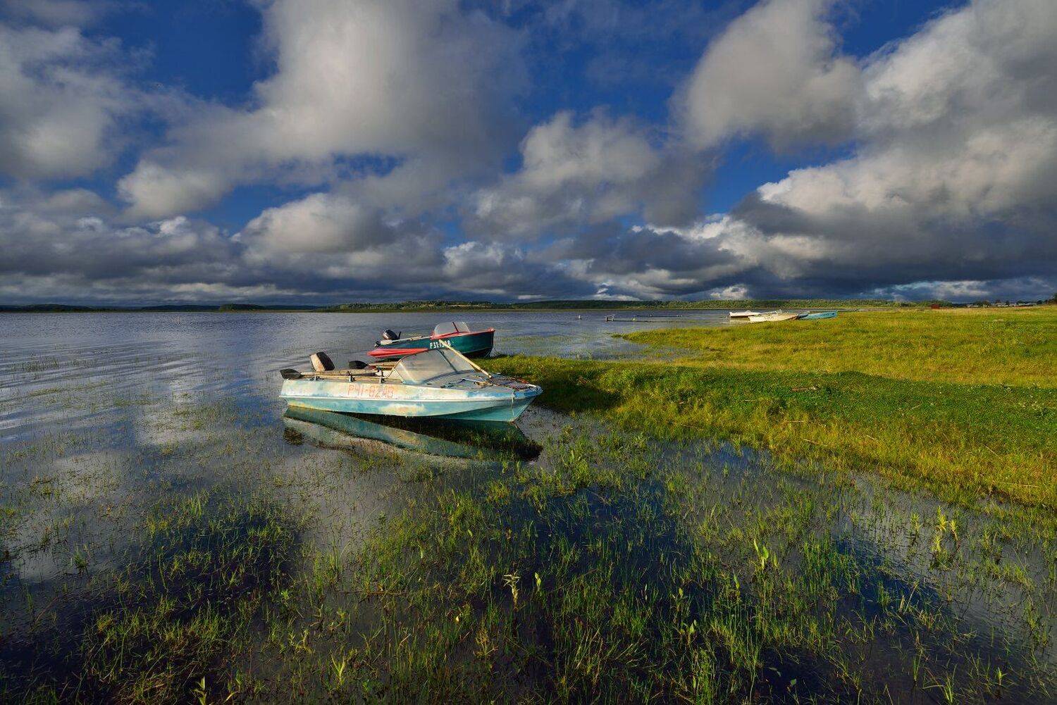 , Максим Евдокимов