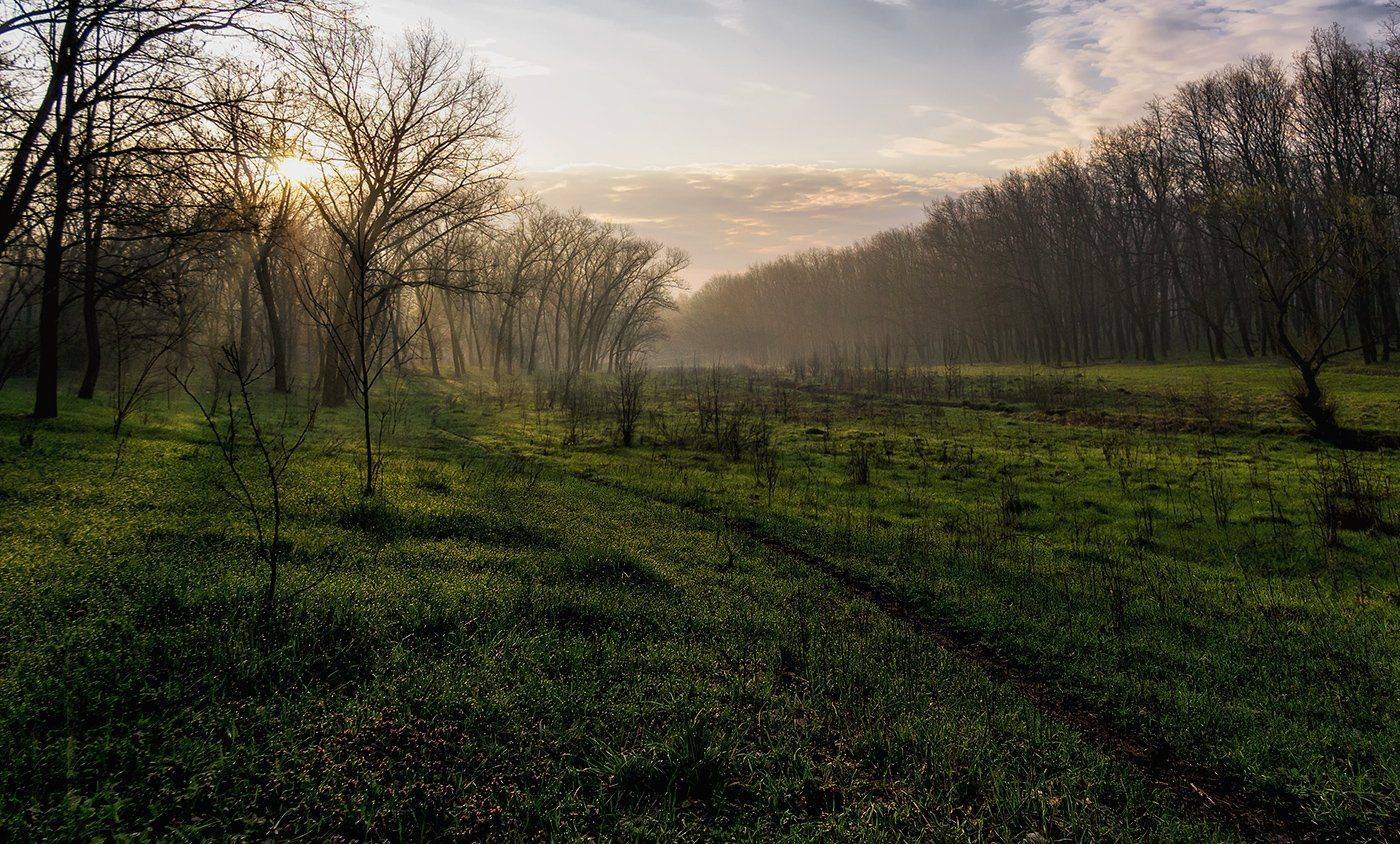 , Игорь Мелекесцев