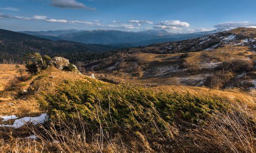 О перспективе