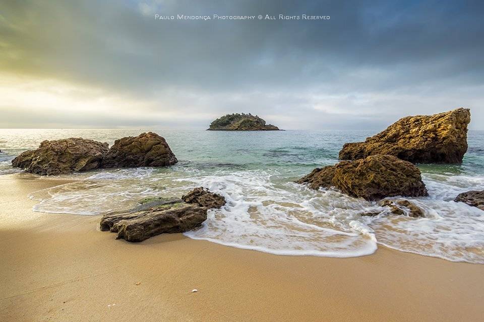 , Paulo Mendon&ccedil;a