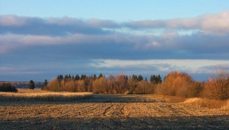 Снова осень закружила карусель мелодий... фото превью