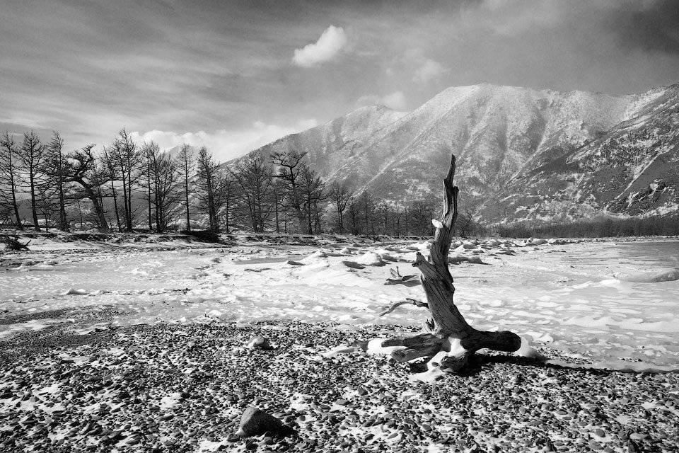 байкал, мыс покойники, байкало-ленский заповедник, Алексей Харитонов