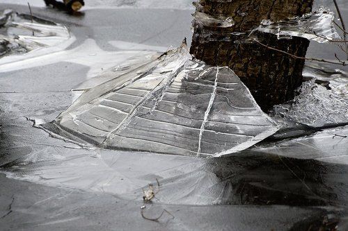 PRO леденцовую весну (2)