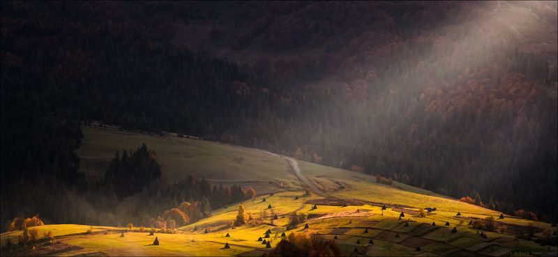 / Поймав последние лучи ...... / фото превью