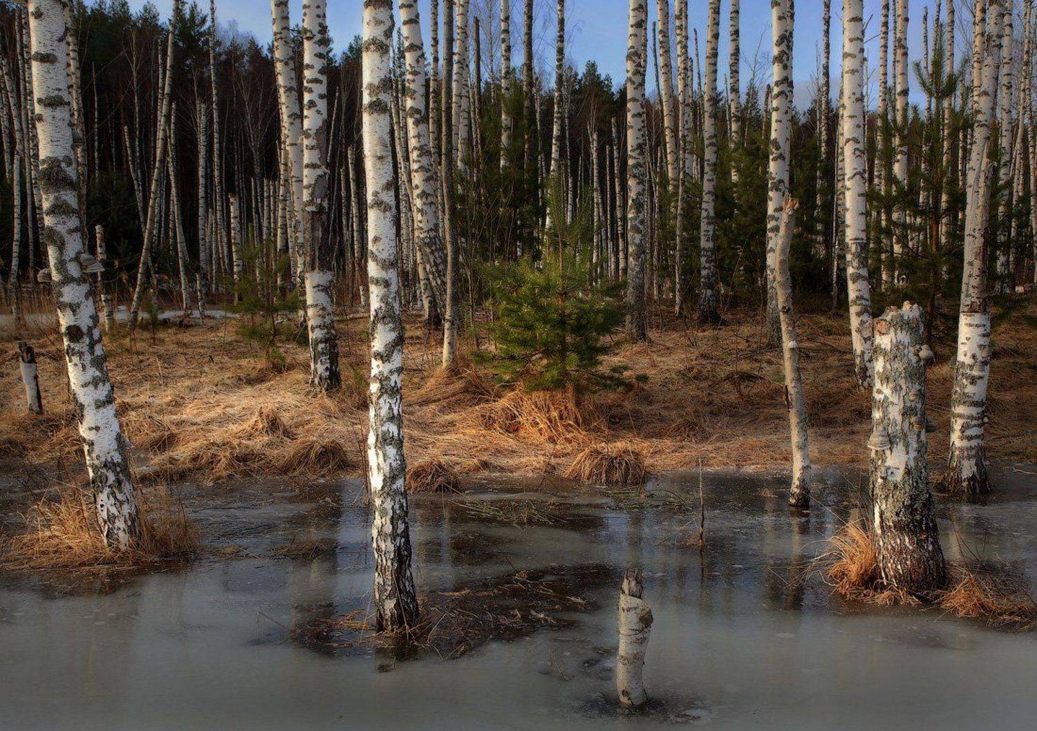 , Дмитрий Алексеев