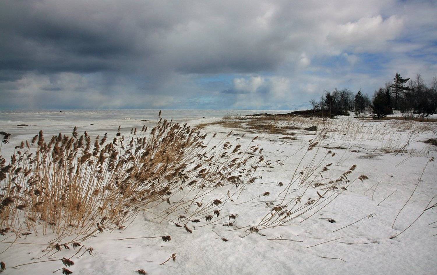 , Андрей Котов