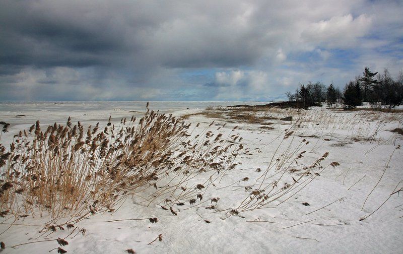 Весеннее Беломорье фото превью