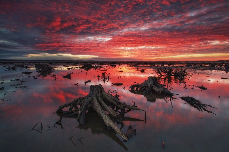 Dead lake