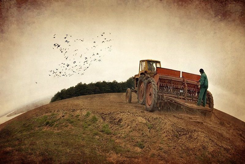 Pluming time фото превью