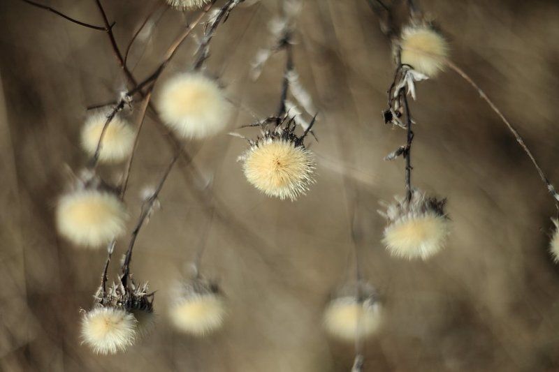 *) фото превью