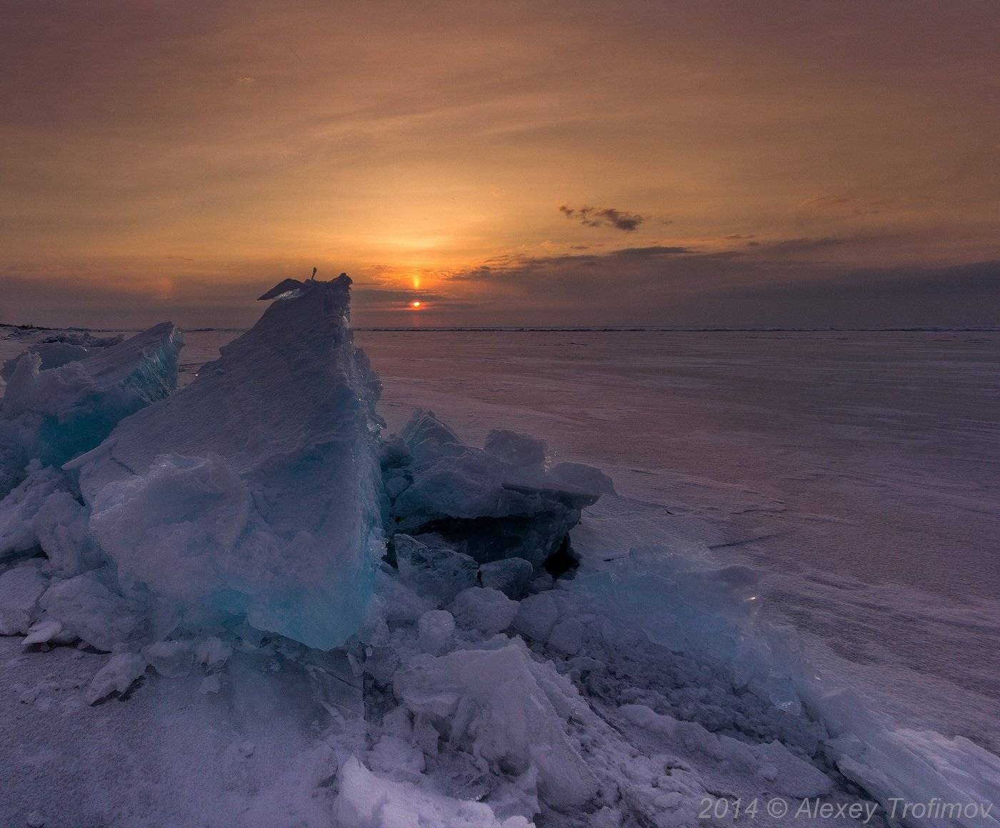 , Алексей Трофимов