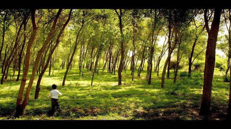 .... фото превью