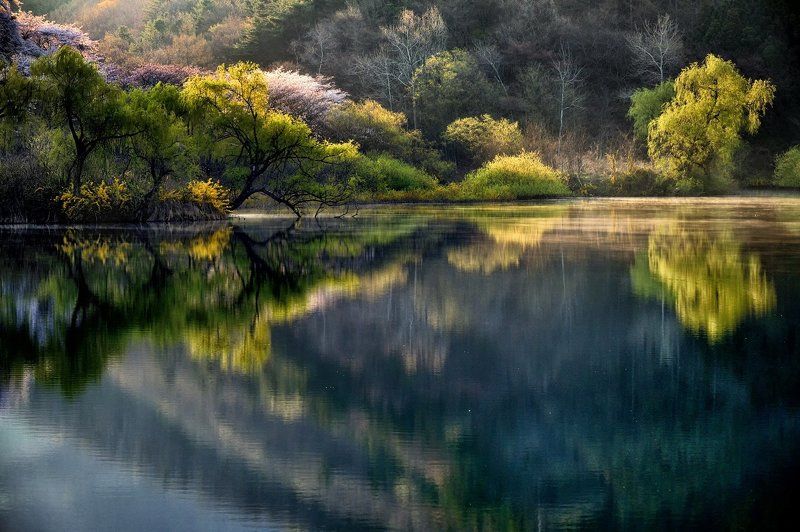 Spring morning light фото превью