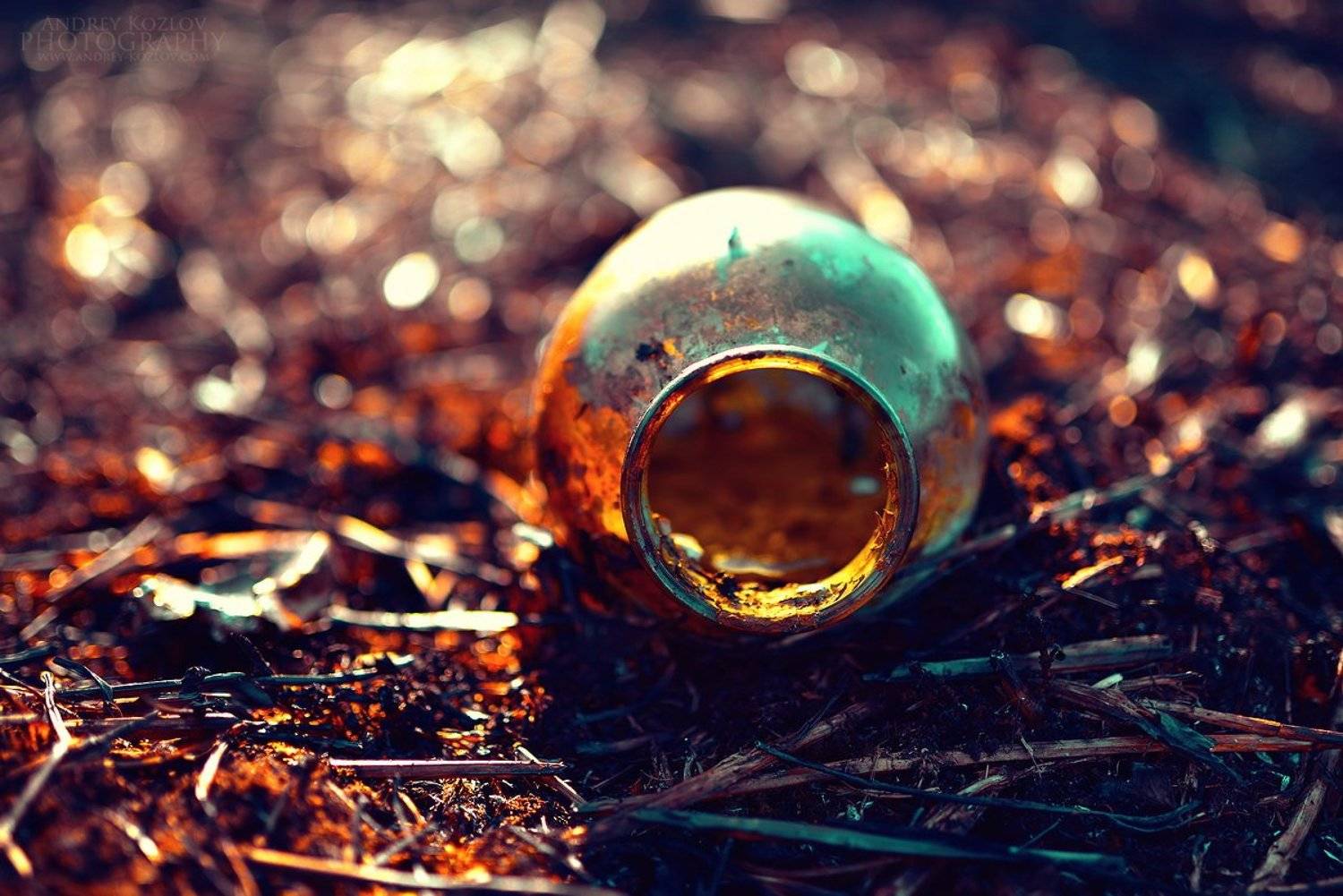 , Андрей Козлов