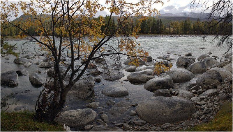 * фото превью