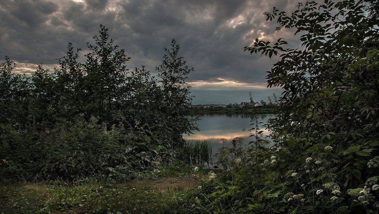 купавна., подмосковье, Андрей Леонидович